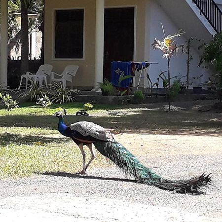 Golden Beach Rest Tangalle Exterior foto